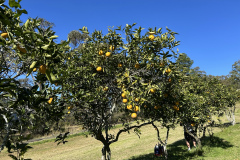 KakaoTalk_Photo_2025-12-19-00-27-24-001