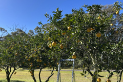 KakaoTalk_Photo_2025-12-19-00-27-24-002