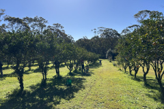 KakaoTalk_Photo_2025-12-19-00-27-24-003