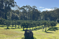 KakaoTalk_Photo_2025-12-19-00-27-24-004