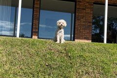 KakaoTalk_Photo_2025-12-19-00-35-55